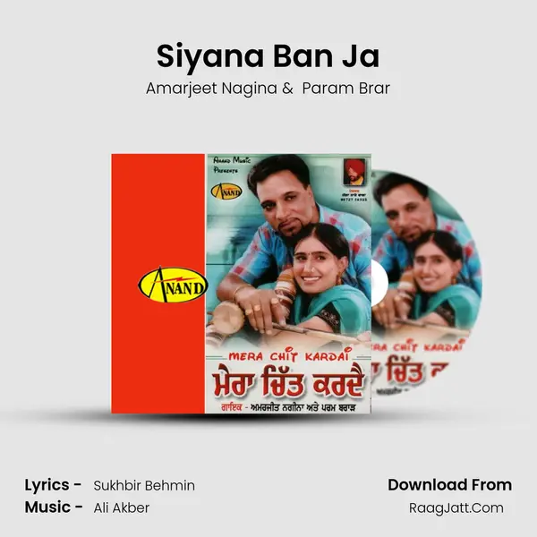 Siyana Ban Ja MP3 Song by Amarjeet Nagina Cover
