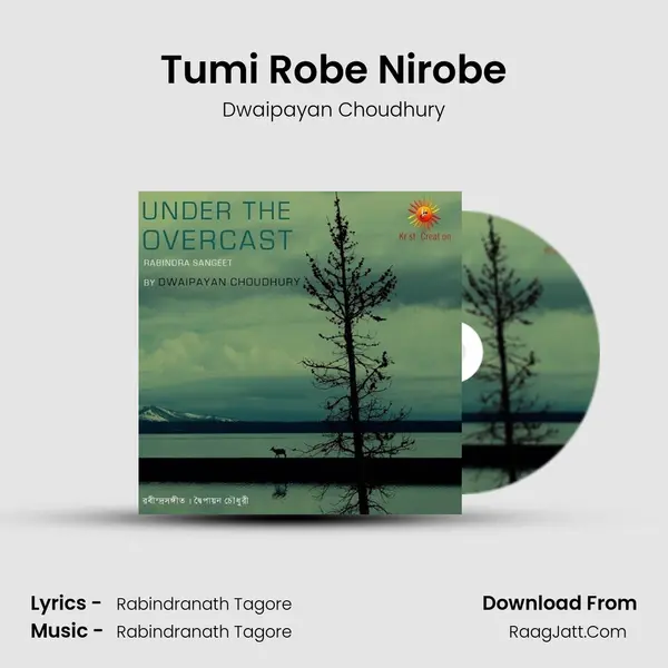 Tumi Robe Nirobe MP3 Song by Dwaipayan Choudhury Cover