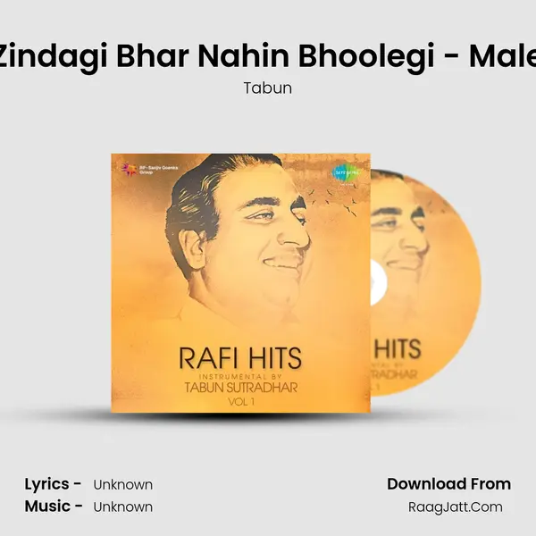 Zindagi Bhar Nahin Bhoolegi - Male MP3 Song by Tabun Cover