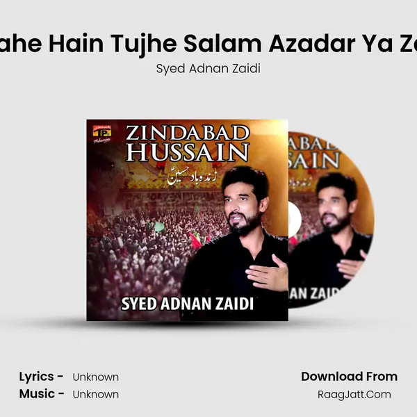Kar Rahe Hain Tujhe Salam Azadar Ya Zainab MP3 Song by Syed Adnan Zaidi Cover