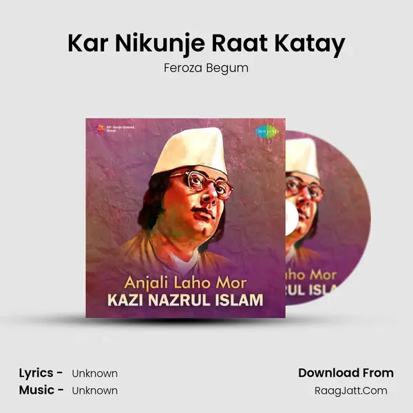 Kar Nikunje Raat Katay Cover