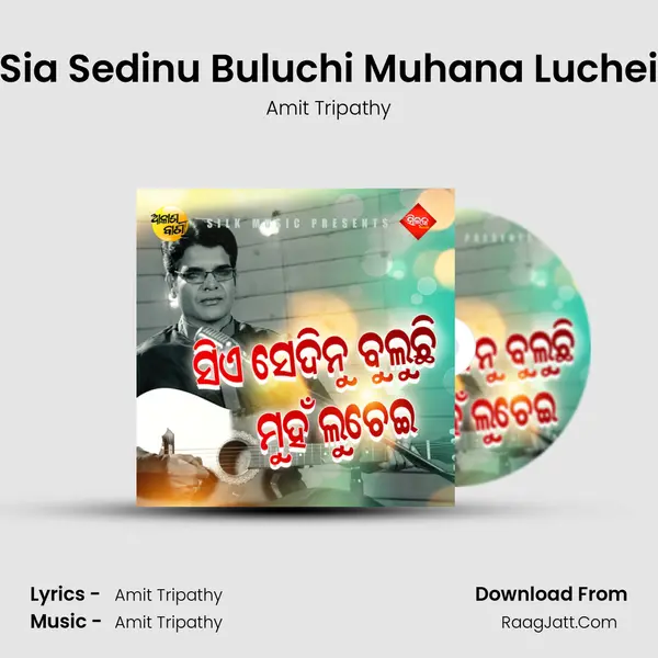 Sia Sedinu Buluchi Muhana Luchei - Amit Tripathy