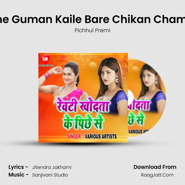 Kahe Guman Kaile Bare Chikan Cham Pa MP3 Song by Pichhul Premi Cover