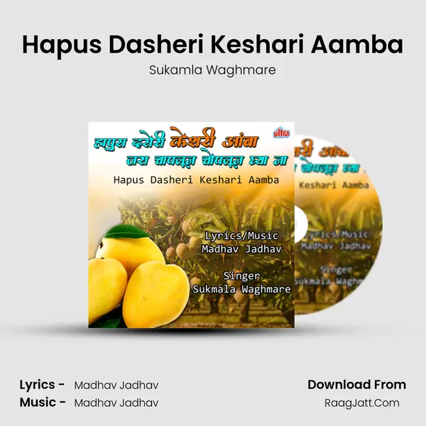Hapus Dasheri Keshari Aamba MP3 Song by Sukamla Waghmare Cover
