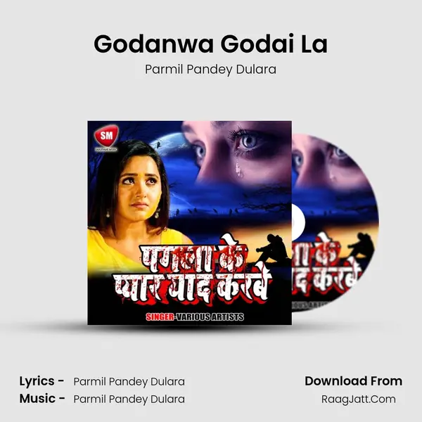 Godanwa Godai La MP3 Song by Parmil Pandey Dulara Cover
