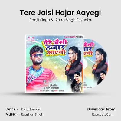 Tere Jaisi Hajar Aayegi Cover