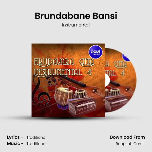 Brundabane Bansi MP3 Song by Instrumental Cover