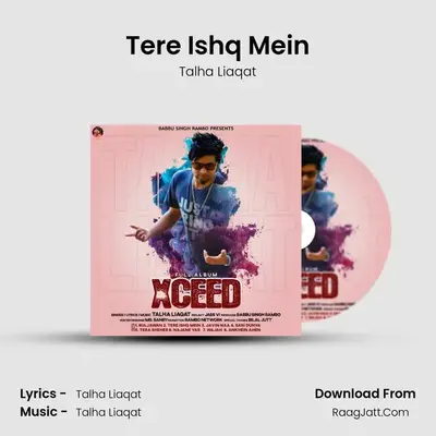 Tere Ishq Mein MP3 Song by Talha Liaqat Cover