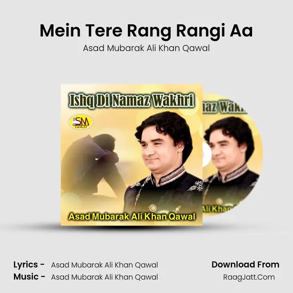 Mein Tere Rang Rangi Aa mp3 song