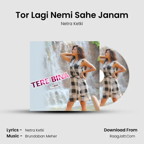Tor Lagi Nemi Sahe Janam MP3 Song by Netra Ketki Cover