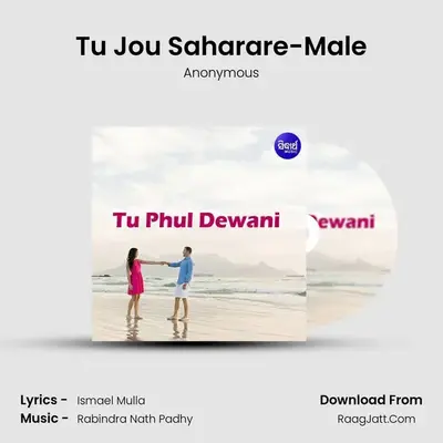 Tu Jou Saharare-Male MP3 Song by Anonymous Cover
