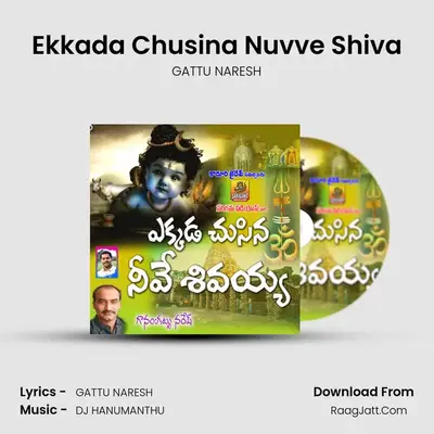 Ekkada Chusina Nuvve Shiva - GATTU NARESH