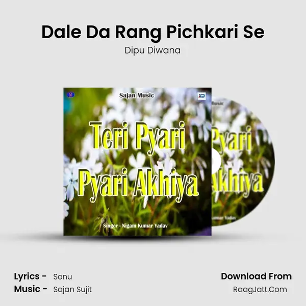Dale Da Rang Pichkari Se MP3 Song by Dipu Diwana Cover