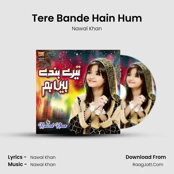 Tere Bande Hain Hum - Nawal Khan