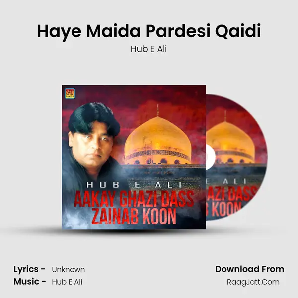 Haye Maida Pardesi Qaidi mp3 song