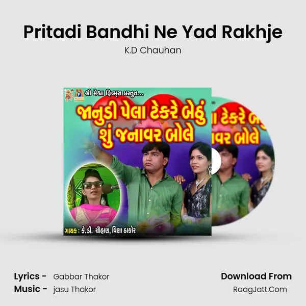 Pritadi Bandhi Ne Yad Rakhje MP3 Song by K.D Chauhan Cover