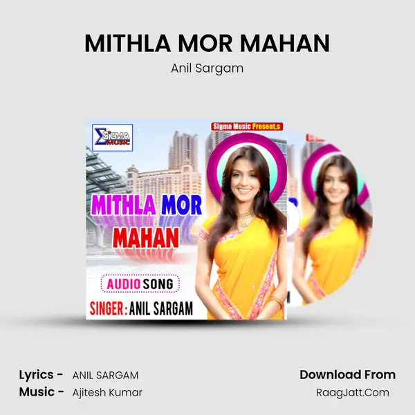 Anil Sargam