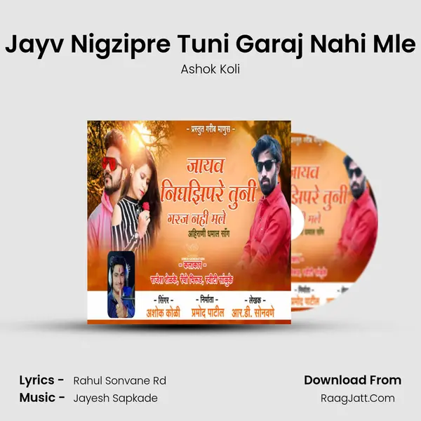 Jayv Nigzipre Tuni Garaj Nahi Mle MP3 Song by Ashok Koli Cover