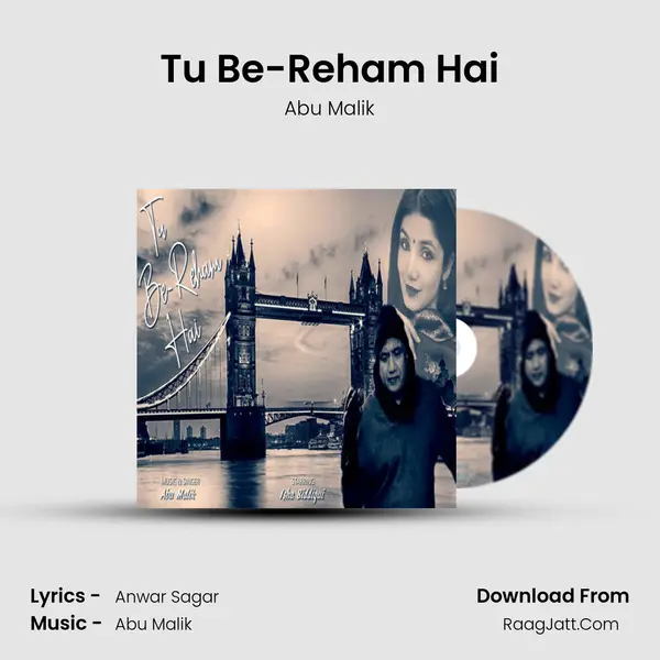 Tu Be-Reham Hai mp3 song