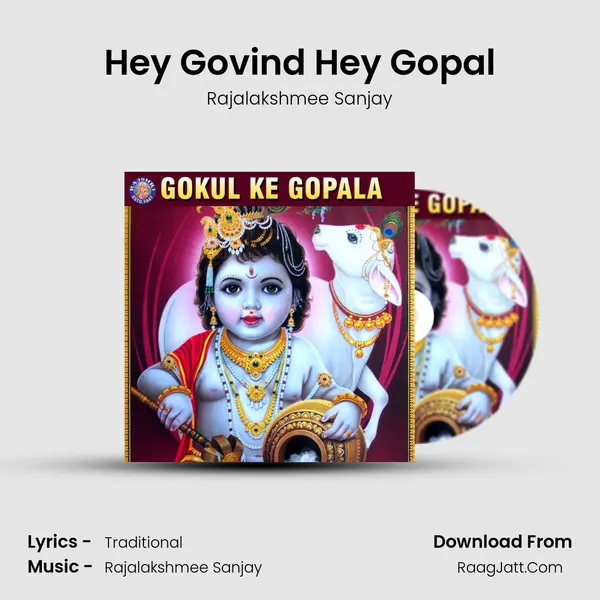 Hey Govind Hey Gopal Cover