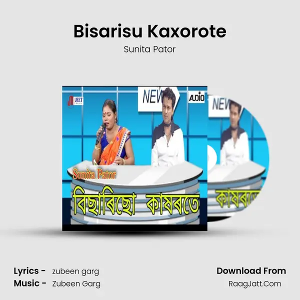 Bisarisu Kaxorote MP3 Song by Sunita Pator Cover