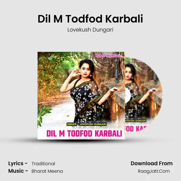 Dil M Todfod Karbali mp3 song