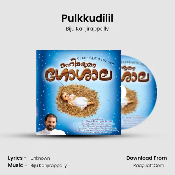 Pulkkudilil MP3 Song by Biju Kanjirappally Cover
