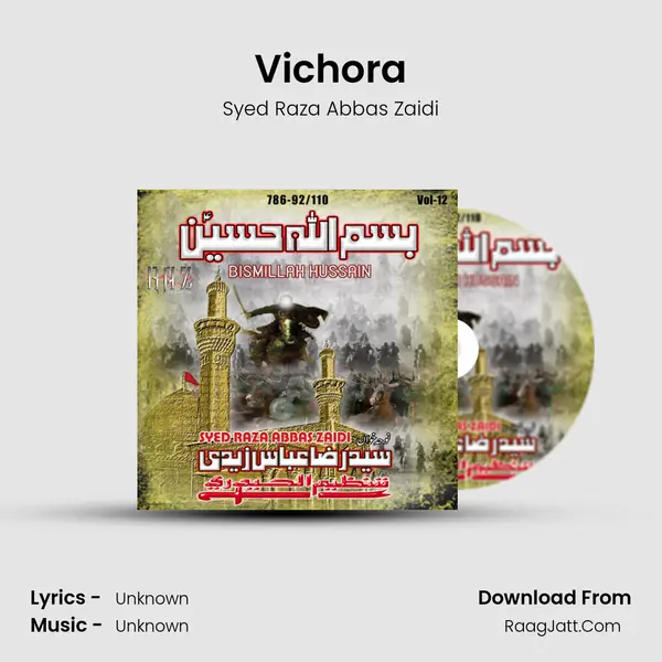 Vichora MP3 Song by Syed Raza Abbas Zaidi Cover