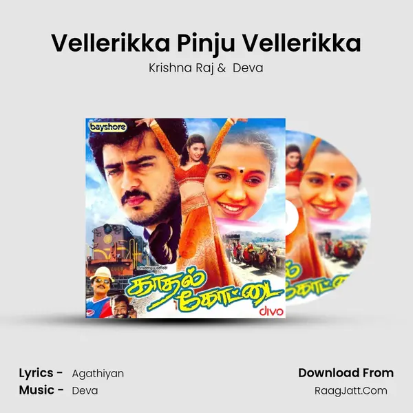 Vellerikka Pinju Vellerikka MP3 Song by Krishna Raj Cover