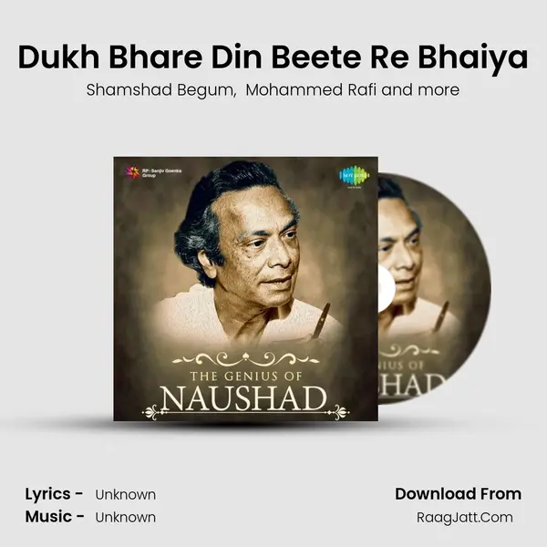 Dukh Bhare Din Beete Re Bhaiya Cover