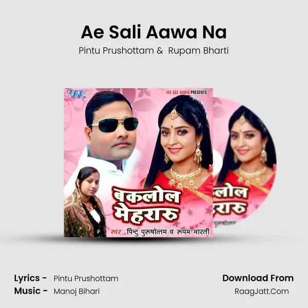 Ae Sali Aawa Na MP3 Song by Pintu Prushottam Cover