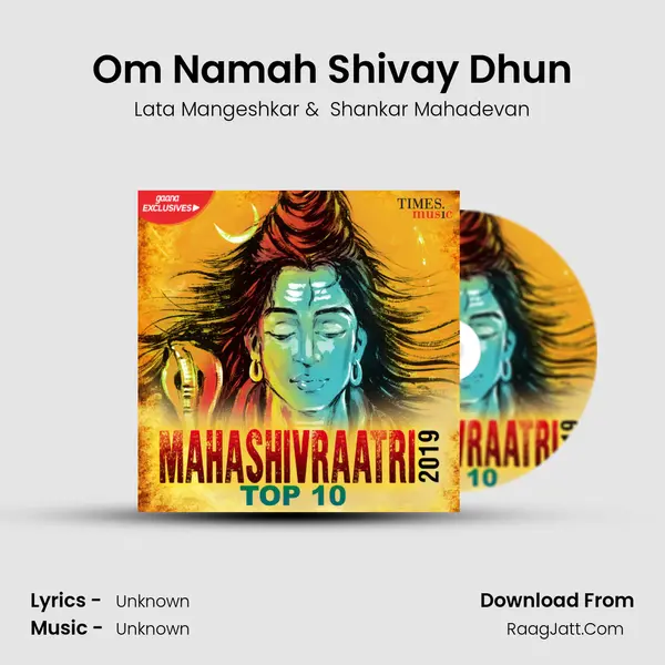 Om Namah Shivay Dhun MP3 Song by Lata Mangeshkar Cover