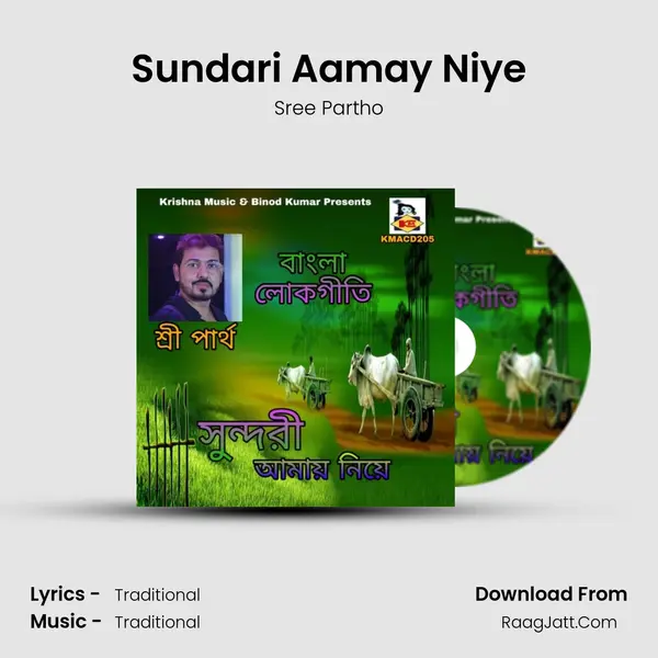 Sundari Aamay Niye MP3 Song by Sree Partho Cover