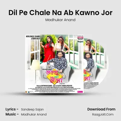 Dil Pe Chale Na Ab Kawno Jor MP3 Song by Madhukar Anand Cover