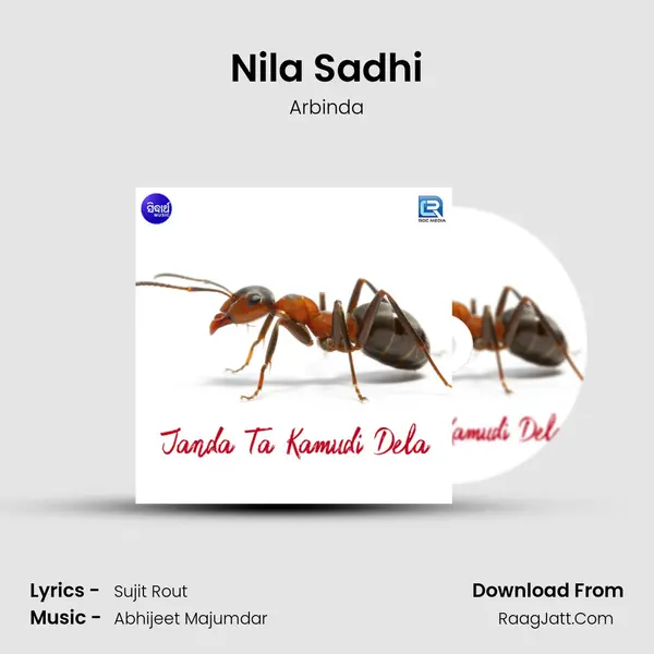 Nila Sadhi MP3 Song by Arbinda Cover