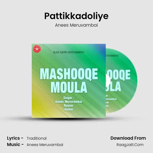 Pattikkadoliye MP3 Song by Anees Meruvambai Cover