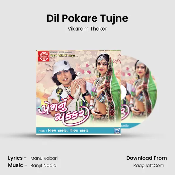 Dil Pokare Tujne MP3 Song by Vikaram Thakor Cover