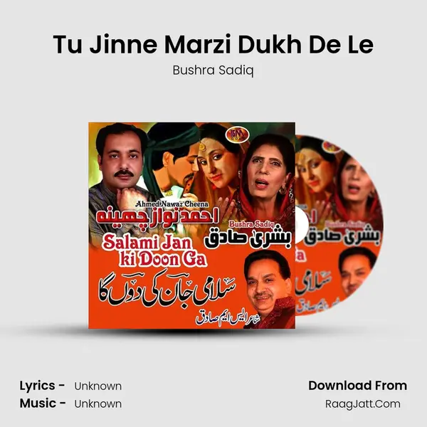 Tu Jinne Marzi Dukh De Le Cover
