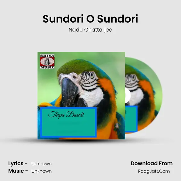 Sundori O Sundori MP3 Song by Nadu Chattarjee Cover