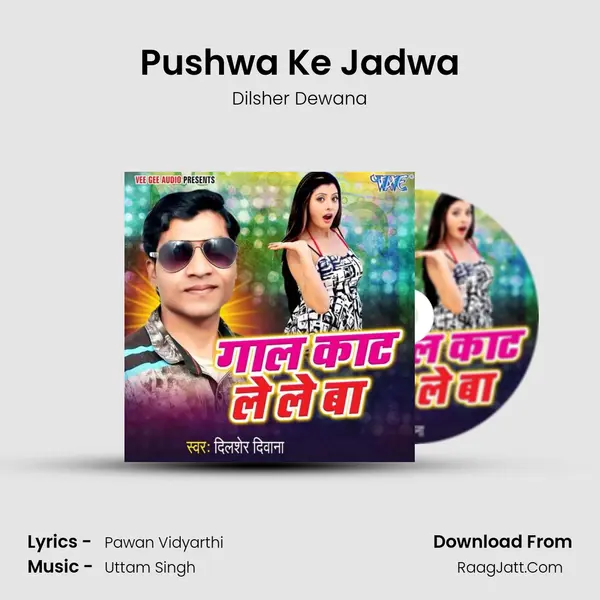 Pushwa Ke Jadwa MP3 Song by Dilsher Dewana Cover