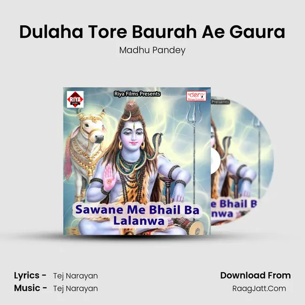 Dulaha Tore Baurah Ae Gaura MP3 Song by Madhu Pandey Cover