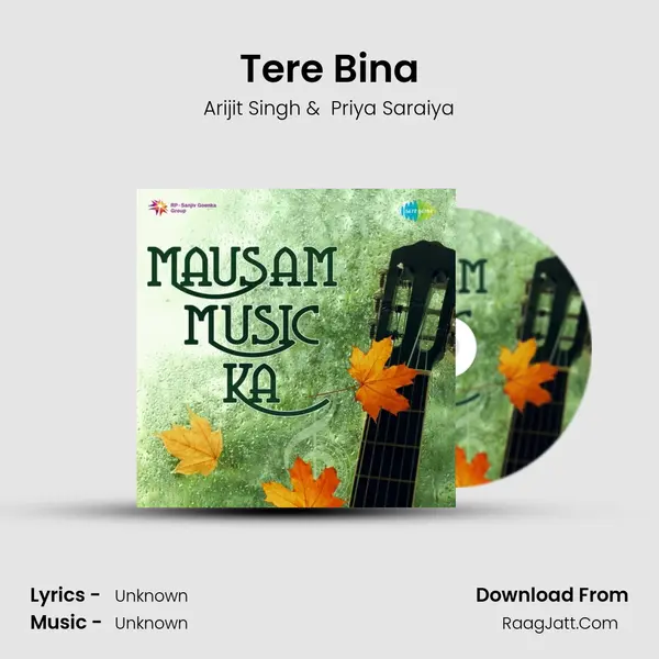 Tere Bina Cover