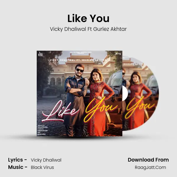 Like You - Vicky Dhaliwal Ft Gurlez Akhtar