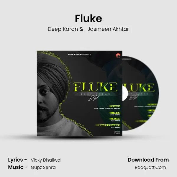 Fluke mp3 song