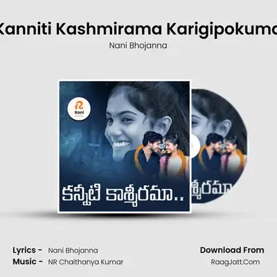 Kanniti Kashmirama Karigipokuma - Nani Bhojanna
