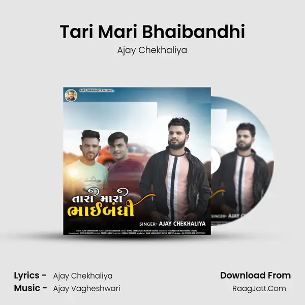 Tari Mari Bhaibandhi MP3 Song by Ajay Chekhaliya Cover