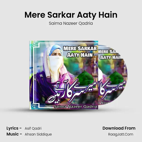 Mere Sarkar Aaty Hain - 