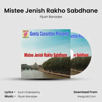 Mistee Jenish Rakho Sabdhane Cover