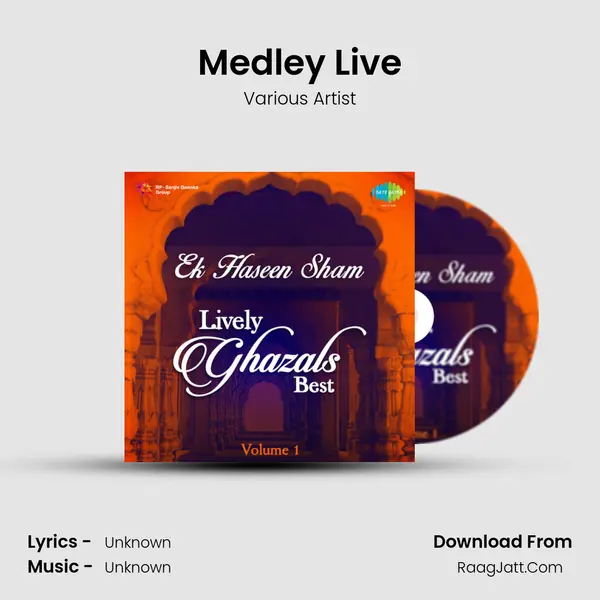 Medley Live MP3 Song by Various Artist Cover
