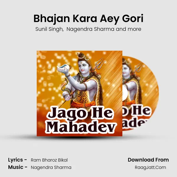 Bhajan Kara Aey Gori MP3 Song by Sunil Singh Cover